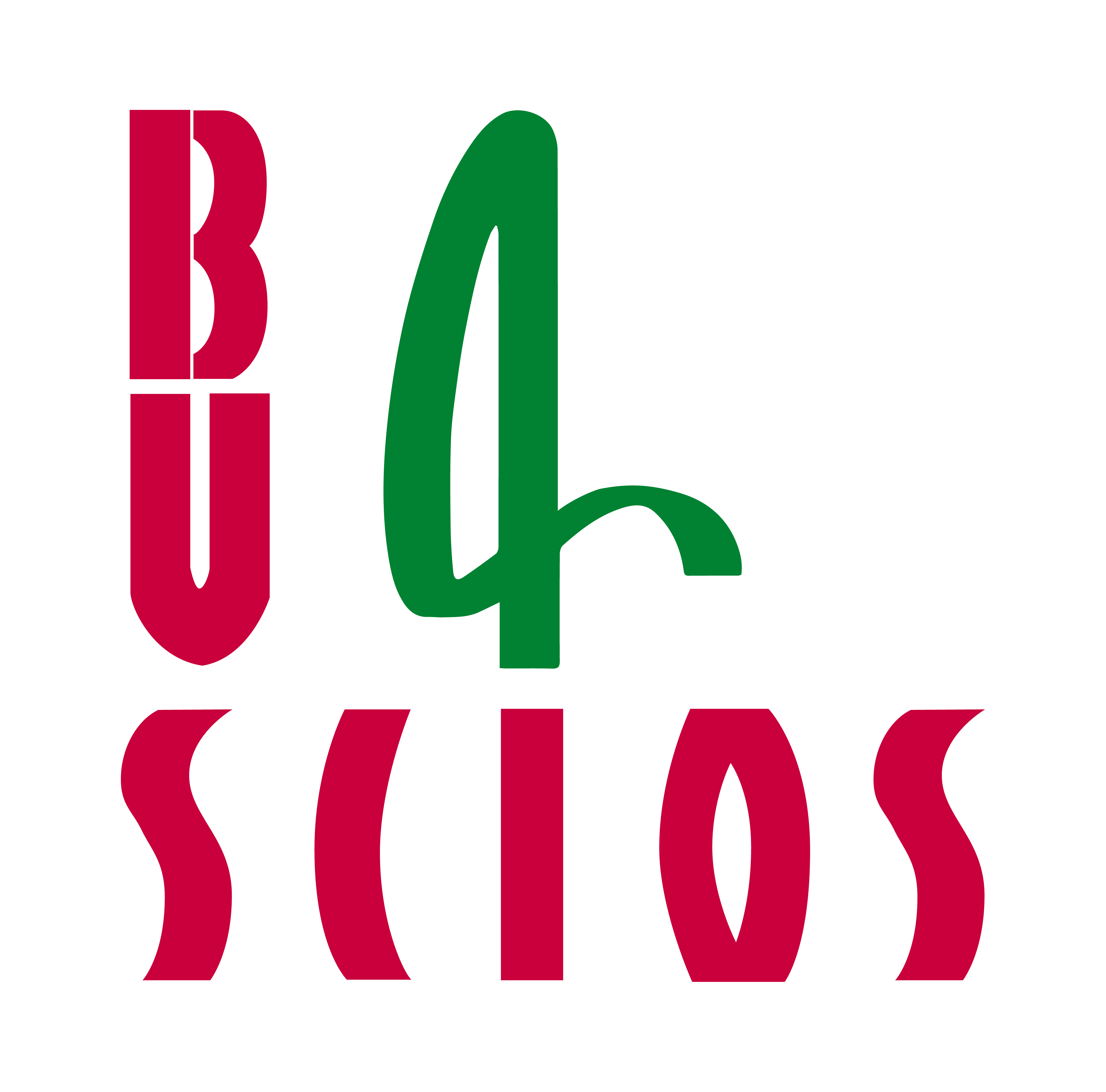 Logo BVS